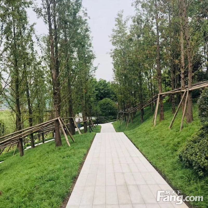 打探千江凌云旁边的公园,可以直接通到滨江路