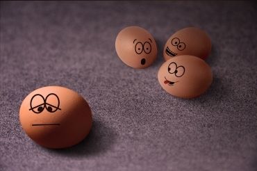 有奖吐槽 最让你糟心的租房经历 房天下北京购房论坛