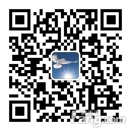 房天下问答 