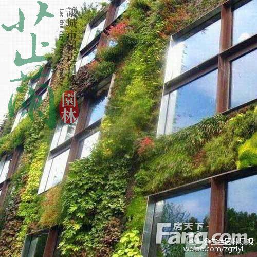 房天下问答 