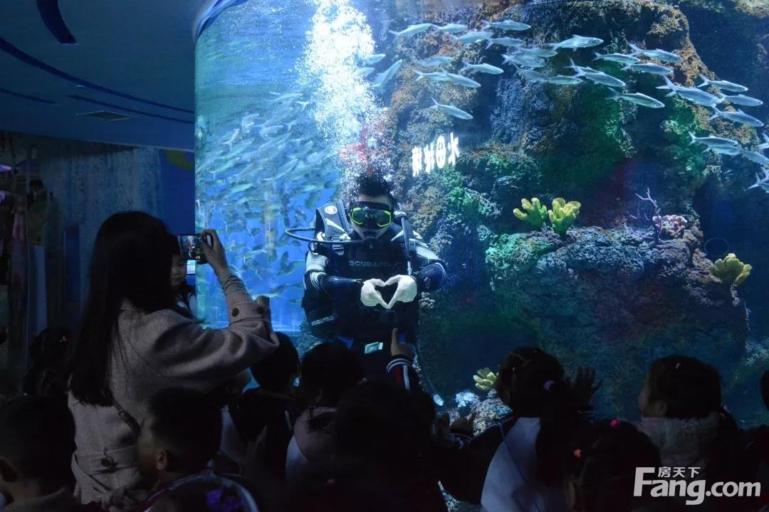 荆州海洋世界海洋馆