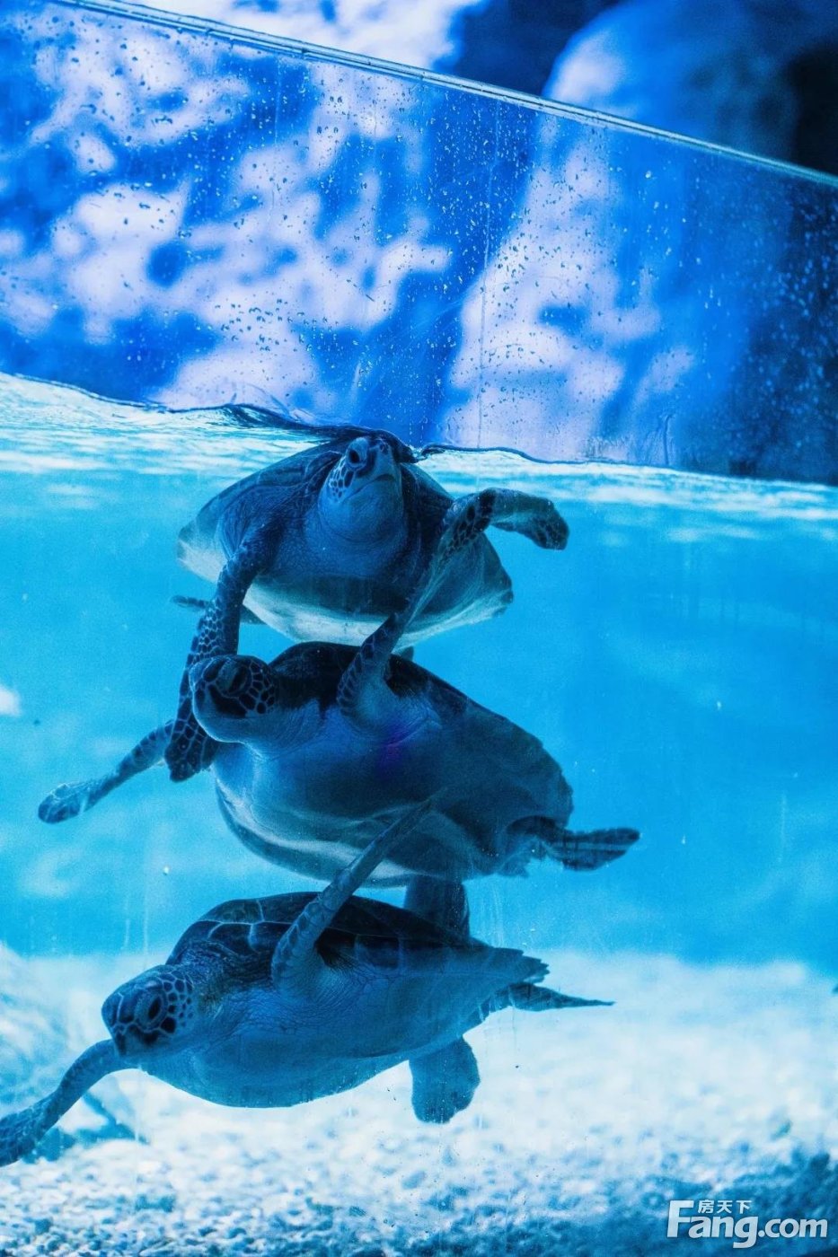 荆州海洋世界海洋馆