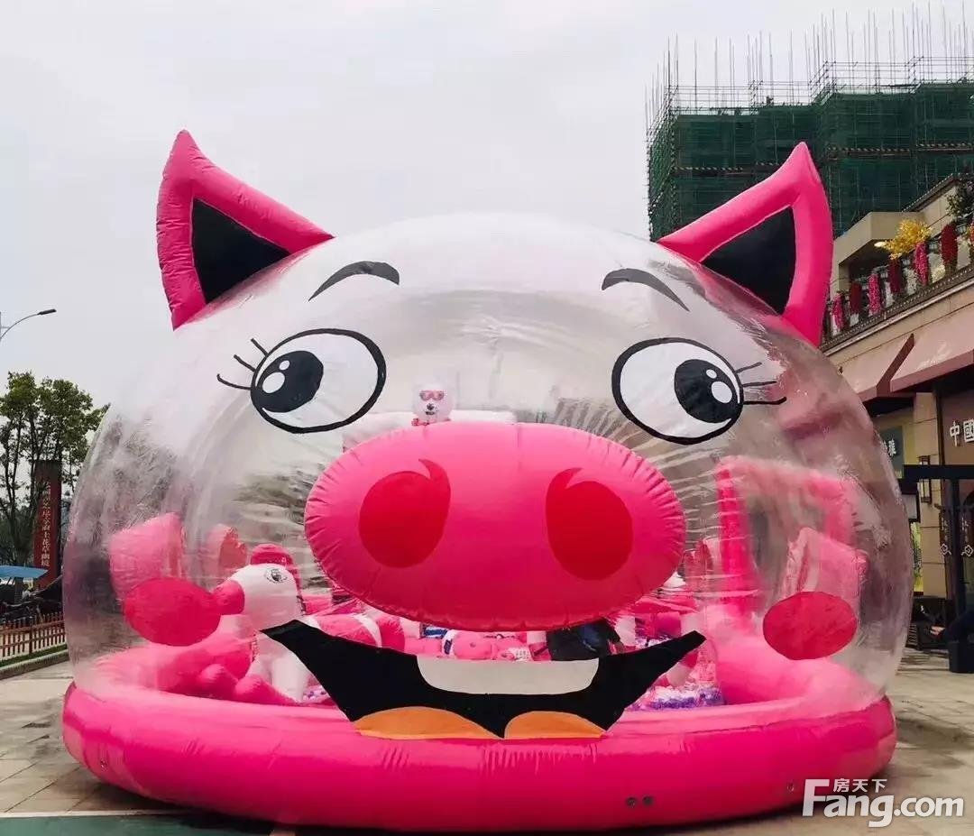 碧桂园国控保利城 你见过吗？|22米的萌宠猪！