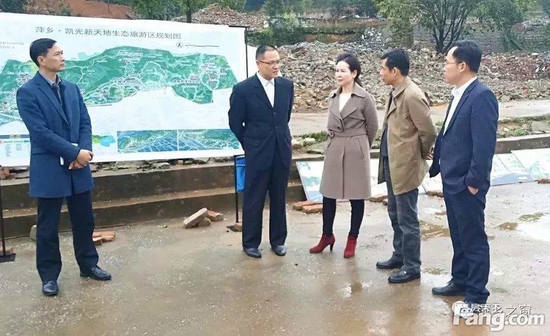 区政府领导督导凯光新天地生态旅游区项目推进工作