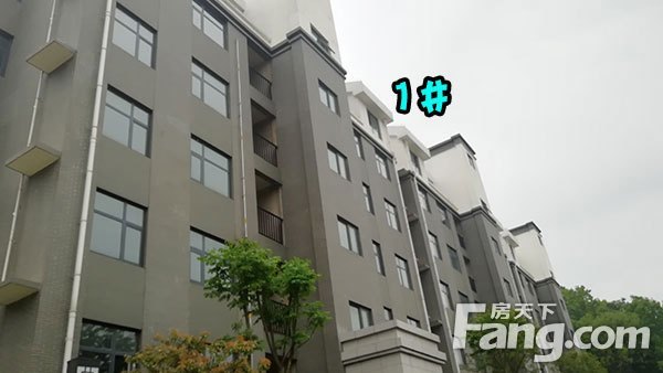 【南湖御景】2019年4月份工程进度播报