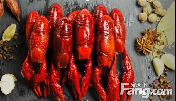 万固·西江月『美好生活季』首届龙虾美食节，火爆盛启