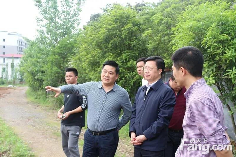 区长康峰调研赣西森林植物园，要确保植物园项目准时开工