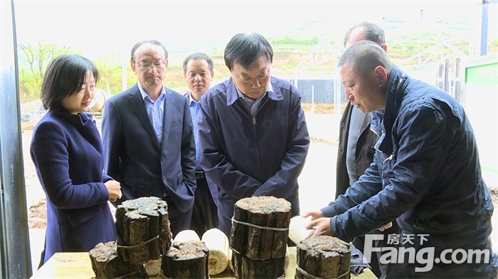 雷鸣调研包抓市列重大项目(图)