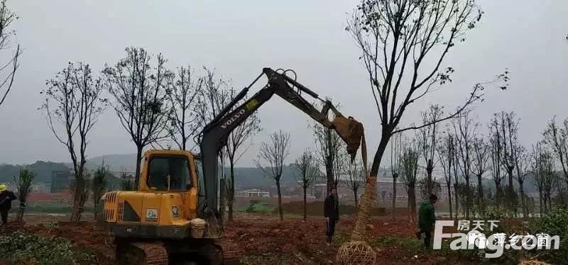 萍乡一季度已开工建设项目286个，萍莲高速、龙舟公园施工进展