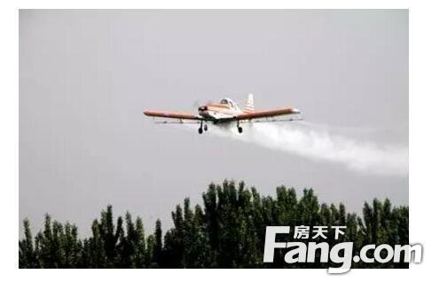 蚌埠市19日起开展飞机施药防治美国白蛾的工作