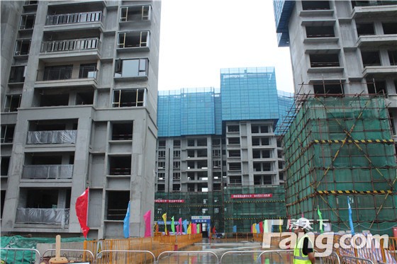 不负匠心 品质共鉴 保利和府工地开放日圆满绽放