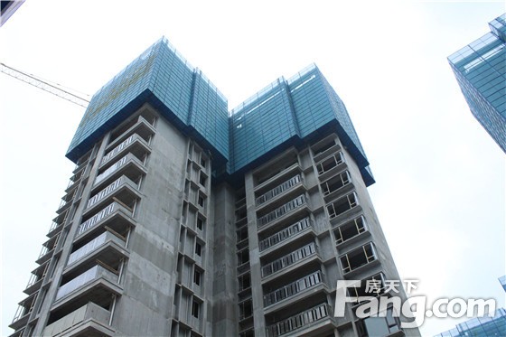 不负匠心 品质共鉴 保利和府工地开放日圆满绽放