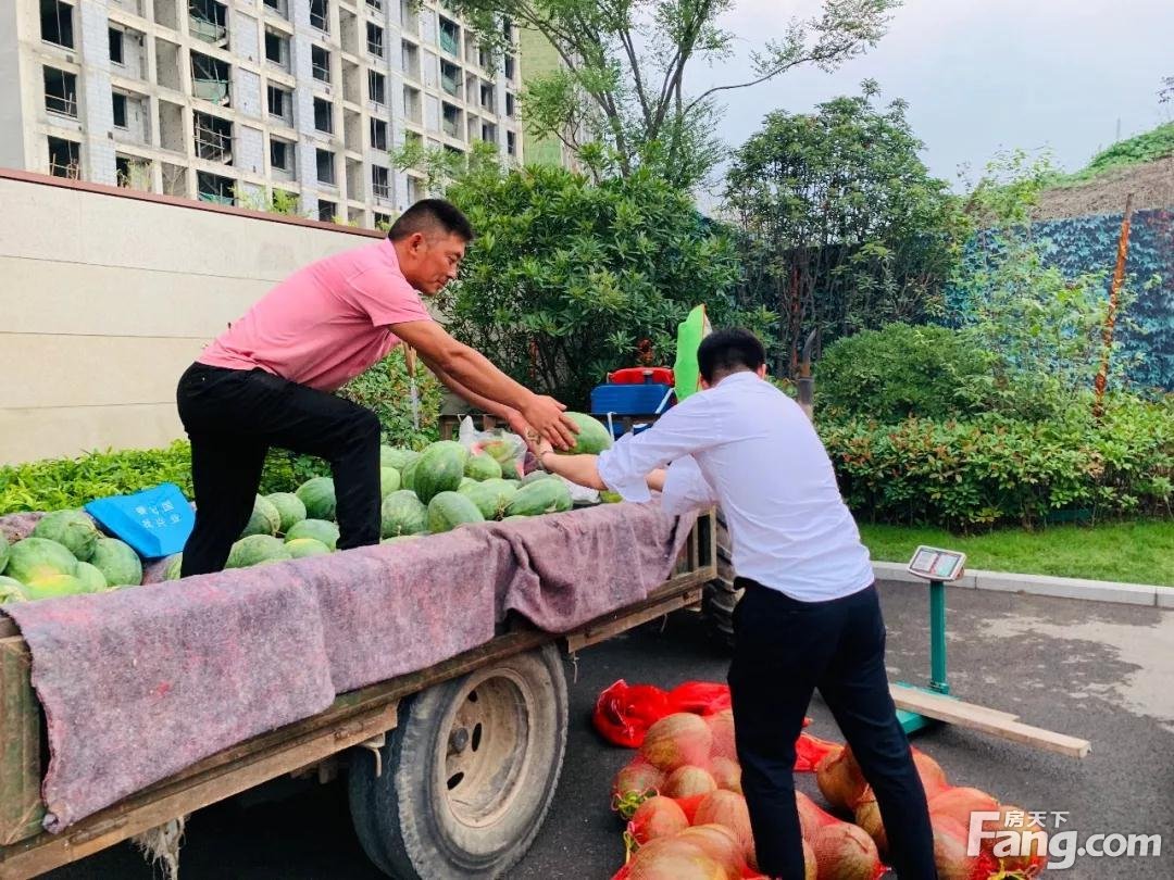 昌建·君悦府爱心助瓜农，万斤西瓜免费送