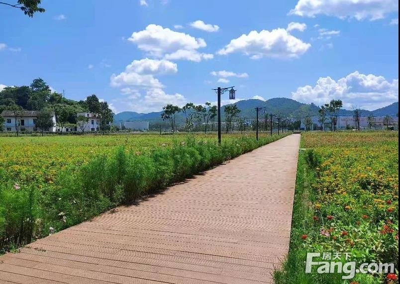 区领导督导海绵小镇建设，实地查看海绵聚落、十里花溪