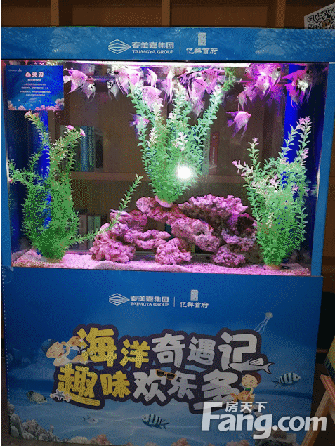 【萌趣海洋节】海有谁的小眼睛，没有看过来？