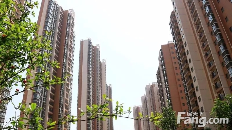 赣州蓉江新区加速建设高标准、高品质城市新区