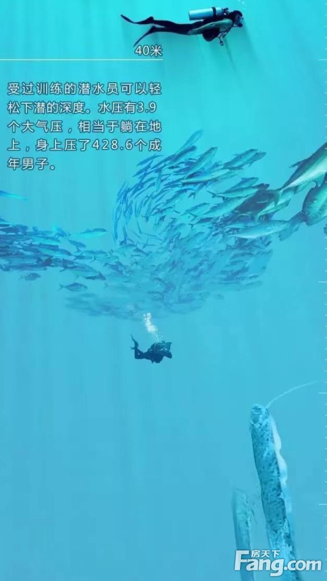 还在视频中了解深海世界？看完文章让你也可以潜入大海，亲眼目睹！