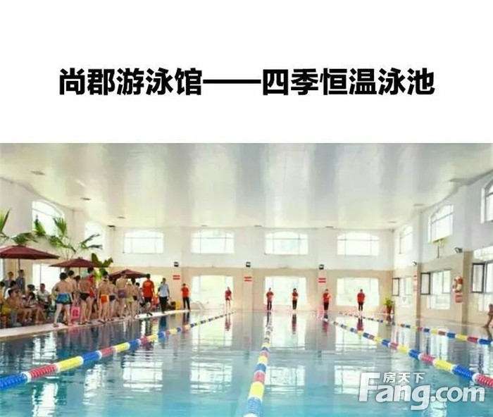 第四届尚郡杯游泳比赛开始报名啦！