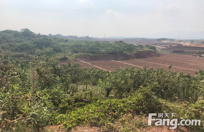 衢江区浮石街道一宗文化设施用地、一宗商服用地，双桥乡一宗商服用地将拍卖