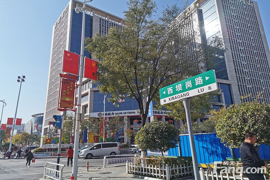 左拥十九中右靠北方蔬菜市场 此项目配套赢了