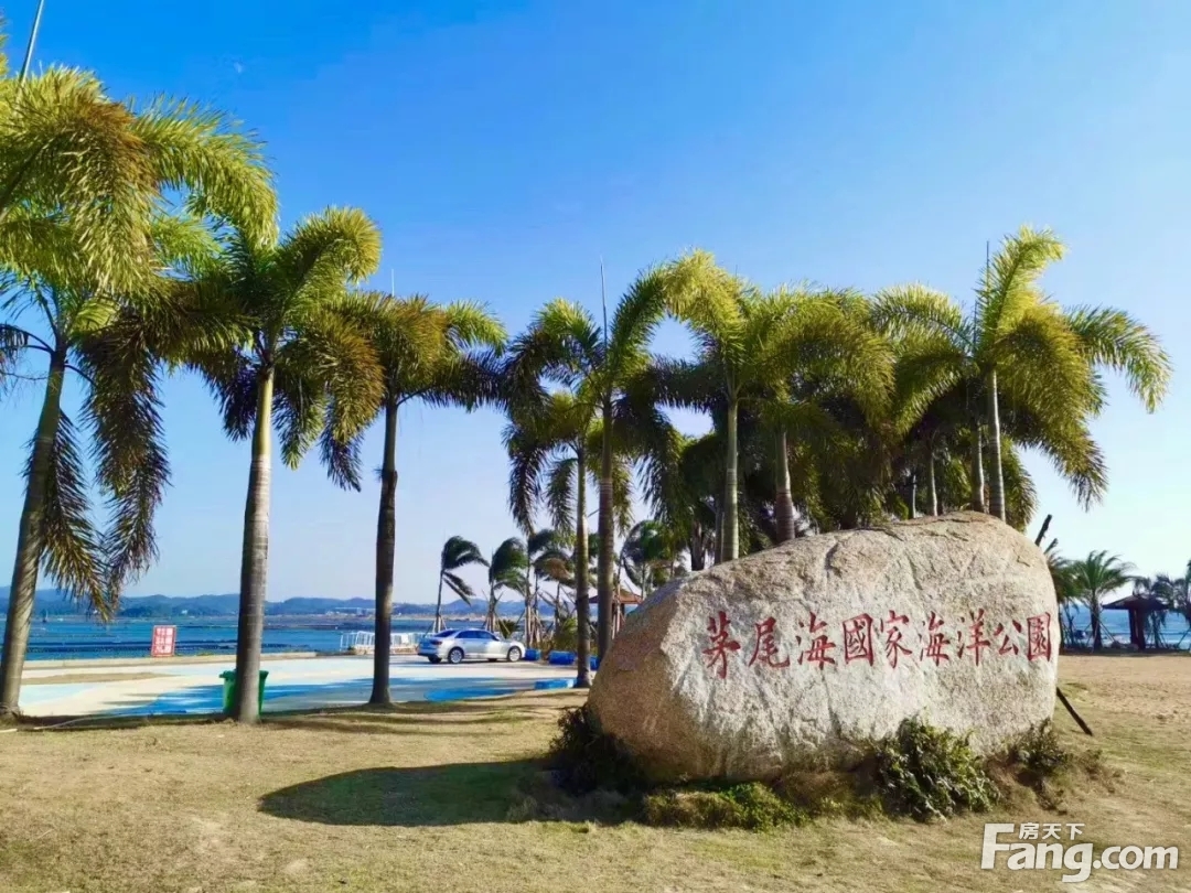 “南宁的后海—醉美茅尾海”碧桂园·十里金滩杯征文大赛活动正式启动
