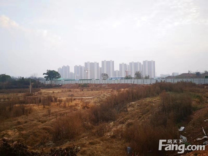 土拍预告丨明日蓉江新区5宗商住用地拍卖 起始总价约8.7亿！