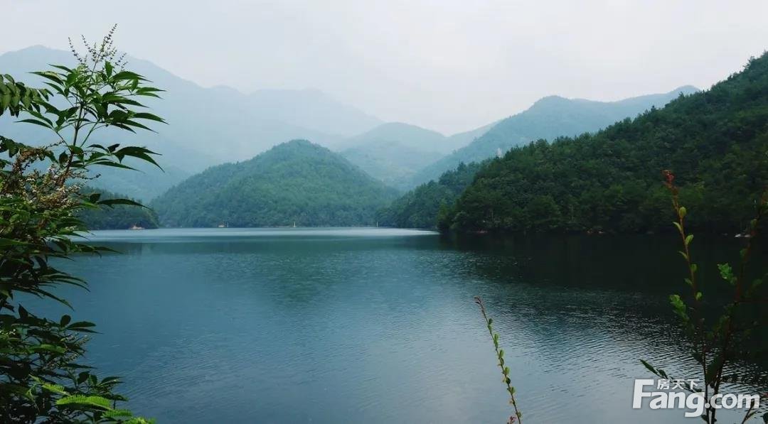 【山水作序，自然起笔】健康中国美好版图上的九峯