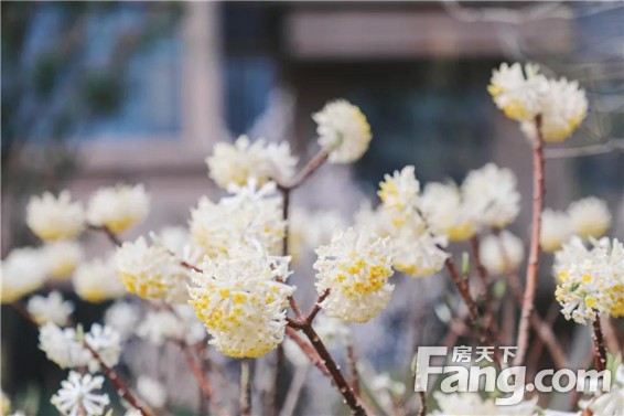 瞒不住了，在商丘除了日月湖、汉梁公园还有一个踏青的好去向必须要曝光