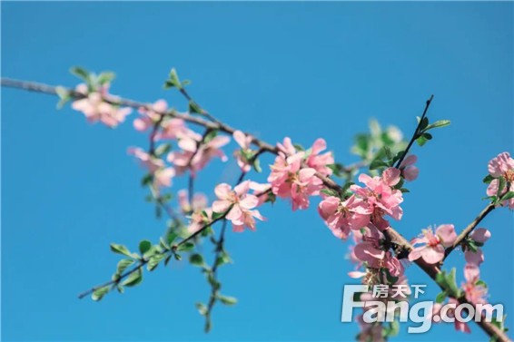 瞒不住了，在商丘除了日月湖、汉梁公园还有一个踏青的好去向必须要曝光