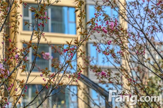 瞒不住了，在商丘除了日月湖、汉梁公园还有一个踏青的好去向必须要曝光