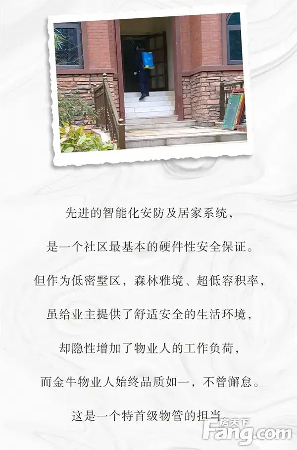 疫中金牛 美好生活启示录