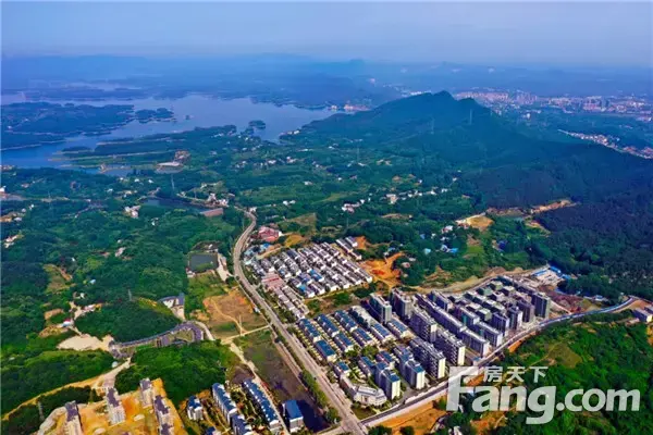 南湖燕园|无边春色，莫负良辰美景