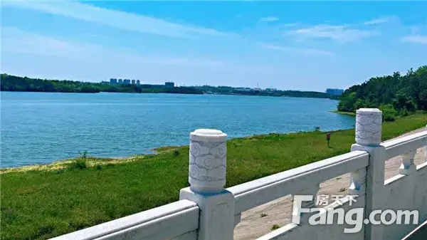 印象湖山|萌翻你的家，多肉植物DIY暖心来袭！