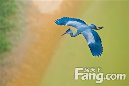 【怡海丽廷】时光映像，定格自然丨5月1-10日《共同的家园·鸟类生态主题摄影展》