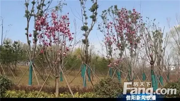 印象湖山|共鉴新区发展前景，私藏北湖的低密湖居！