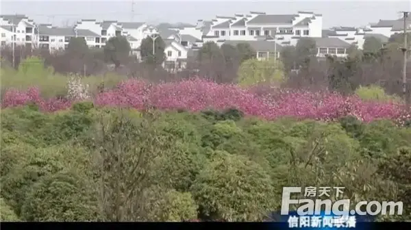 印象湖山|共鉴新区发展前景，私藏北湖的低密湖居！