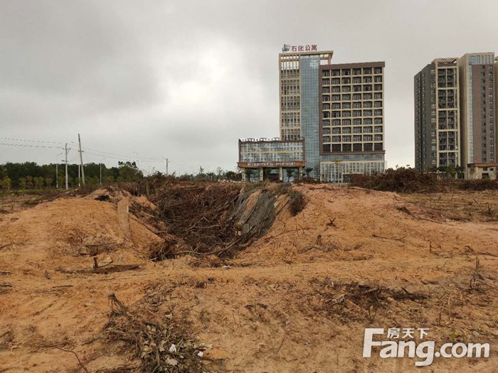 湛江开发区、吴川市共7宗地块挂牌出让 总出让面积约16.42万㎡ 总起拍价约5.41亿元
