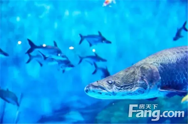 信合·春天里|新晋网红打卡地掀起六一“嗨玩计划” 信合春天里 昨天