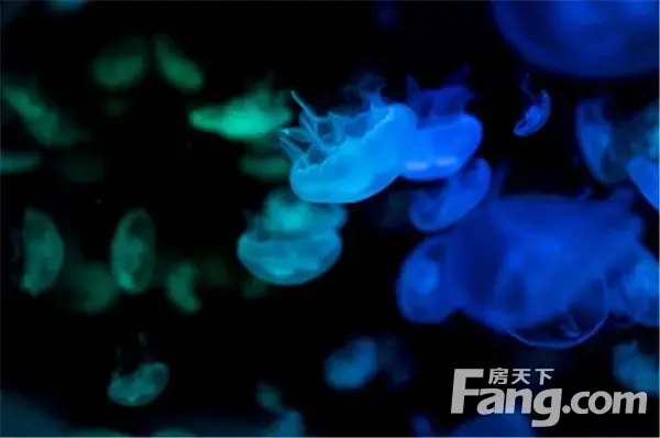 信合·春天里|新晋网红打卡地掀起六一“嗨玩计划” 信合春天里 昨天