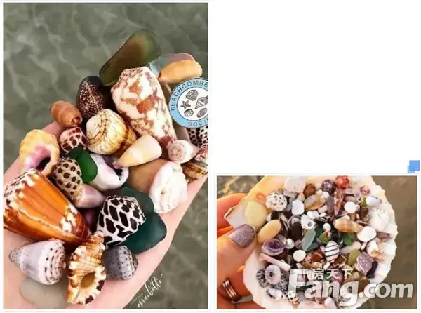 印象湖山|绮梦夏天，妙不“壳”言，原来可以这样玩