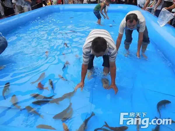 缤纷夏日“鱼”乐无穷 天福·山河观邸抓鱼狂欢节火爆来袭！