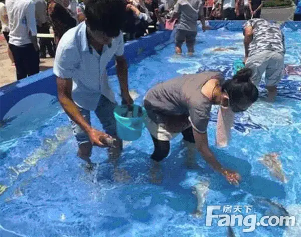 缤纷夏日“鱼”乐无穷 天福·山河观邸抓鱼狂欢节火爆来袭！