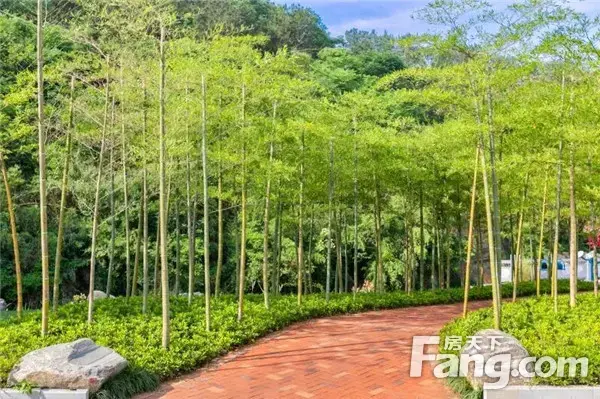 【信阳·御龙湾】清风拂面，静赏漫漫荷花
