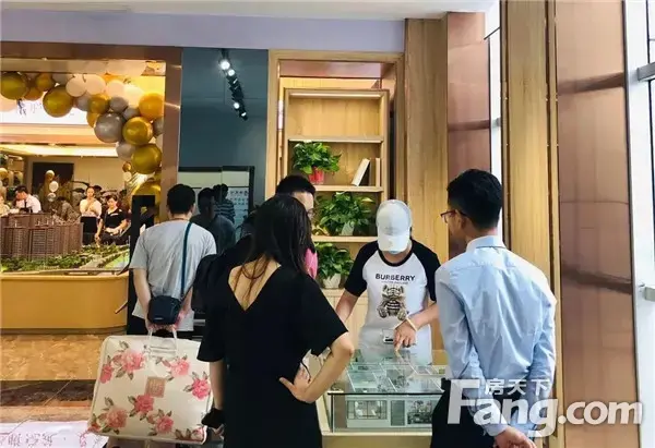 信阳·御龙湾丨全城认筹暨样板间开放盛大启幕