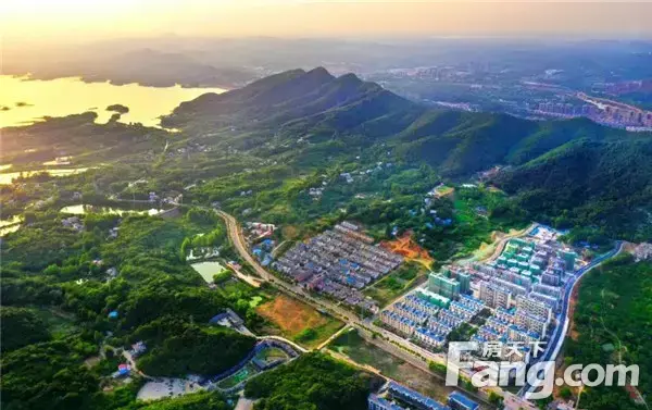 【南湖燕园】那些你看不到的财富，才是最值得珍藏的……