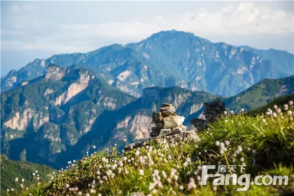 私人订制季|建业·信阳府业主专享鸡公山旅行计划幸福开启