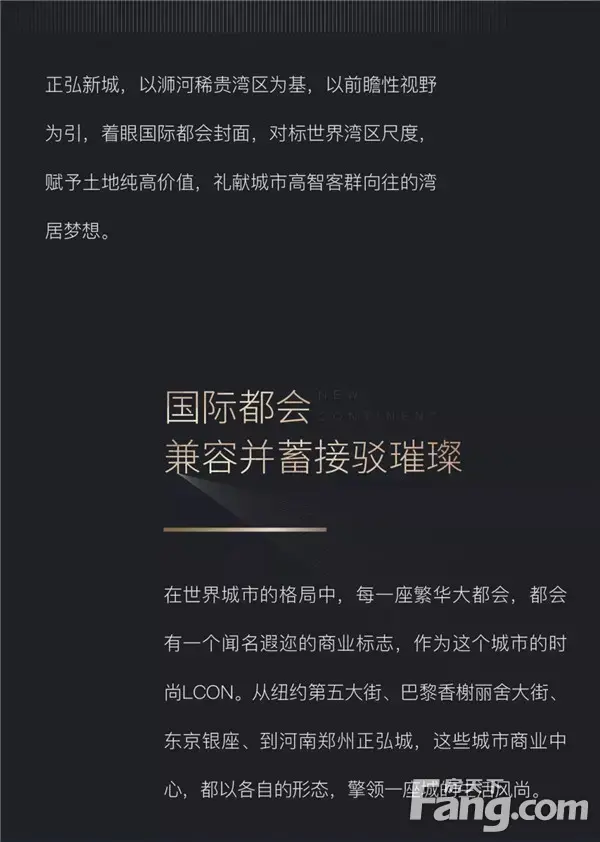 NEW CONTINENT | 时代大湾区 国际新都会