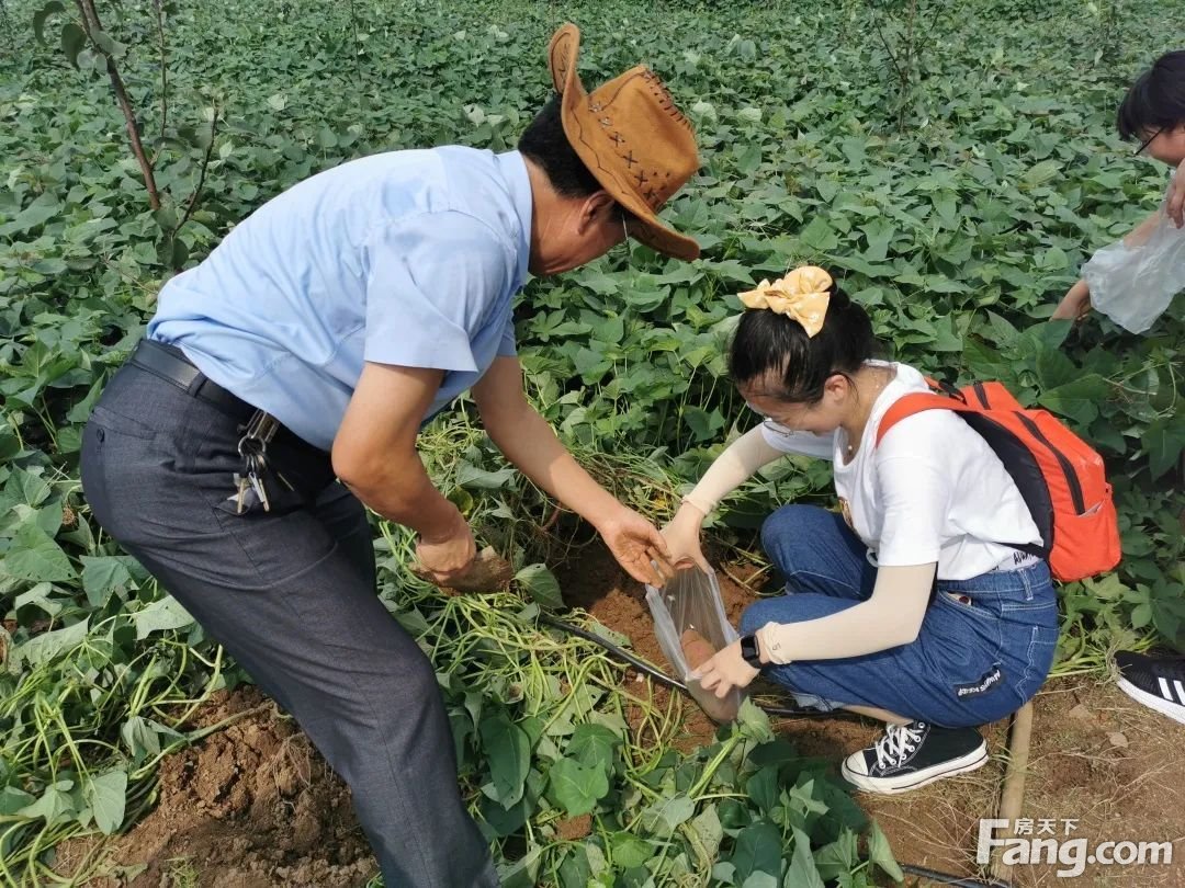 万色初秋 田园拾趣丨盛世康园业主友邻踏歌行温情启幕