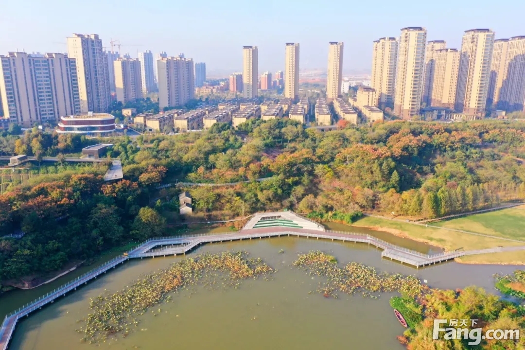 鹿鸣公园颜值大提升，去看看新变化吧~