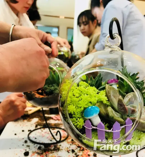 的生日趴为业主准备了一场盛大的生日趴微景观diy亲子活动感恩业主